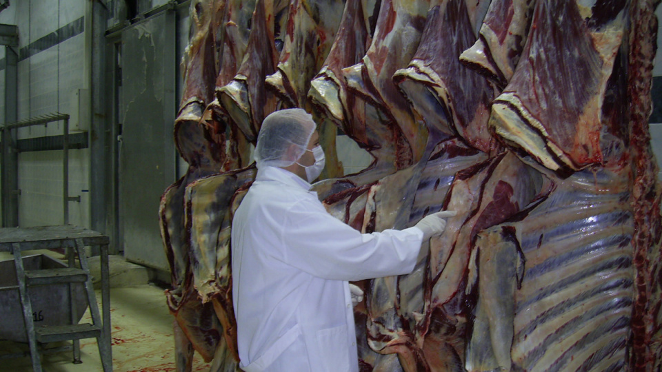 “Et fiyatları manipülasyonu” operasyonunda 30 gözaltı