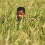 FAO: İran savaşı enerji ve gübre şokunu küresel gıda zincirine taşıdı