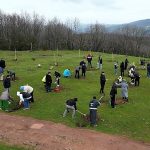 Fidanlar engelsiz hayat için dikildi