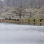 Gölköy Barajı tam kapasiteye ulaştı
