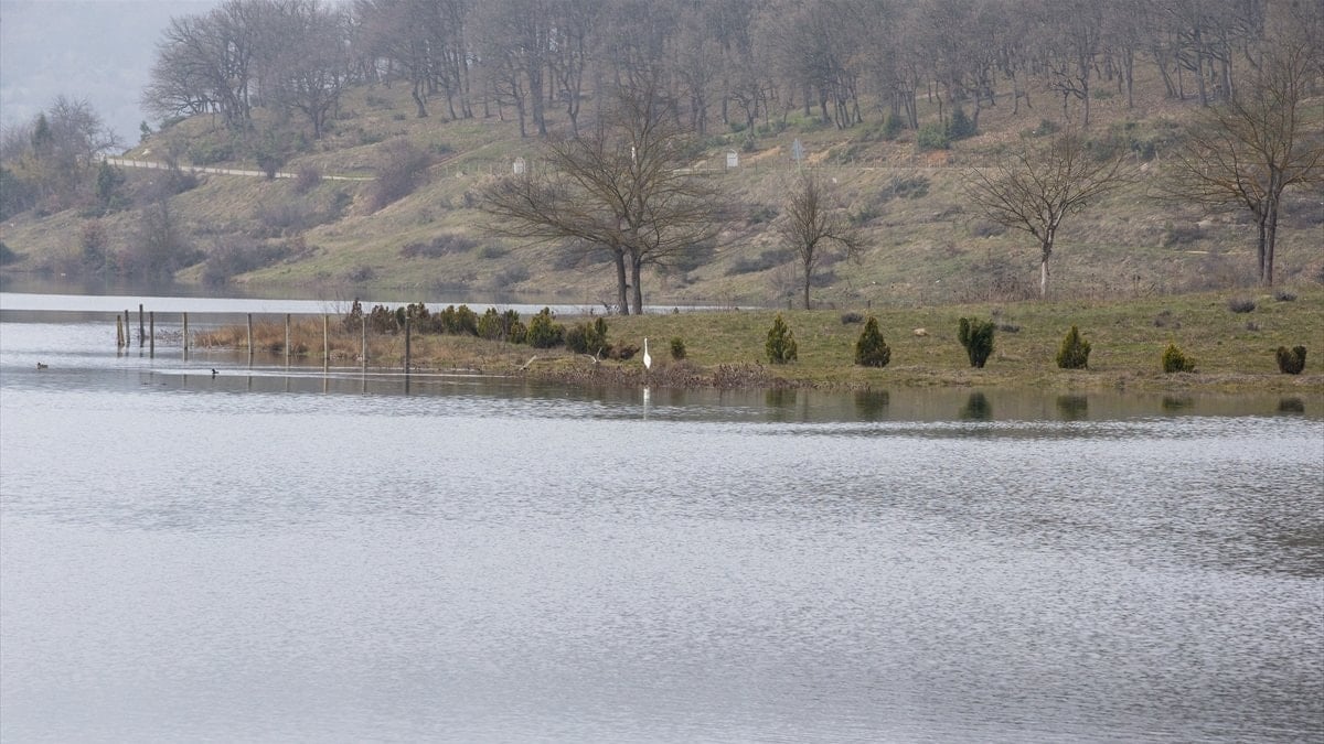 Gölköy Barajı tam kapasiteye ulaştı