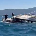 Güllük Körfezi’nde amatör balıkçı teknesi battı