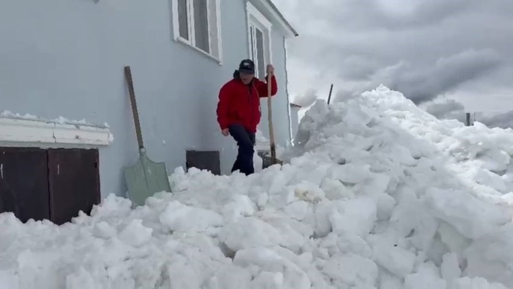 Gümüşhane’de ayılar pencerelerden evlere girmeye başladı
