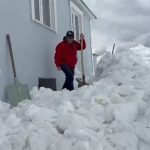 Gümüşhane’de ayılar pencerelerden evlere girmeye başladı