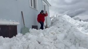 Gümüşhane’de ayılar pencerelerden evlere girmeye başladı