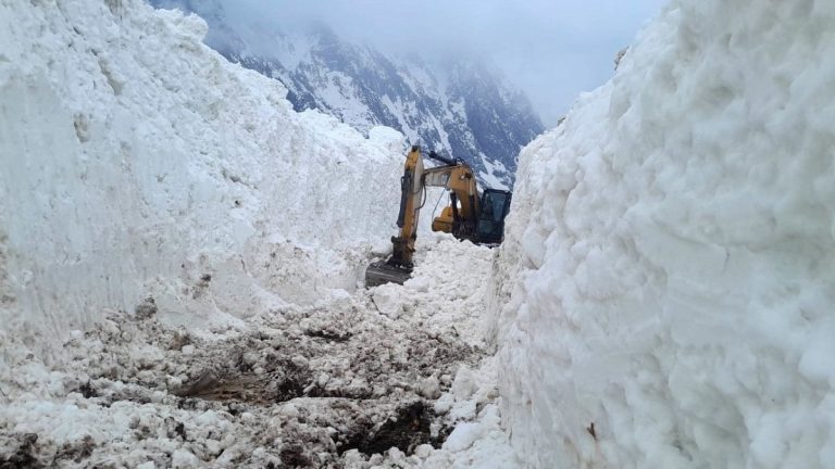 Hakkari’de çığ felaketi: Meyve bahçeleri kar altında kaldı