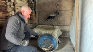 Hakkari’de donmak üzere olan leyleği hayata döndürdü