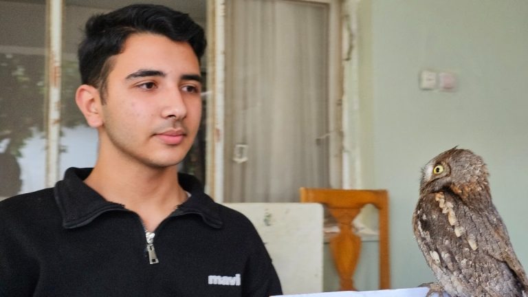 Hatay’da yaralı bulduğu İshak kuşunu kurtardı