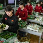 İran savaşı sonrası Türkiye’den Rusya’ya sebze ihracatı arttı