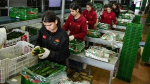 İran savaşı sonrası Türkiye’den Rusya’ya sebze ihracatı arttı