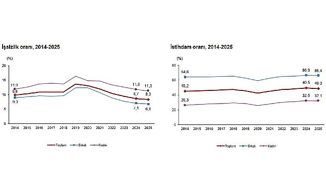 İşgücü İstatistikleri, 2025