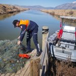 Işıklı Barajı’nda kaçak avcıların bıraktığı 5 bin metre ağ ele geçirildi