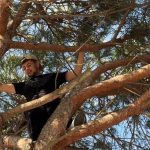 İstanbul’da ağaçta mahsur kalan genç, itfaiye merdiveniyle kurtarıldı