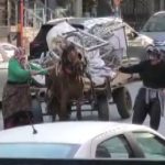 İstanbul’da aşırı yük taşıtılan ata sopa ve kemerli şiddet kamerada