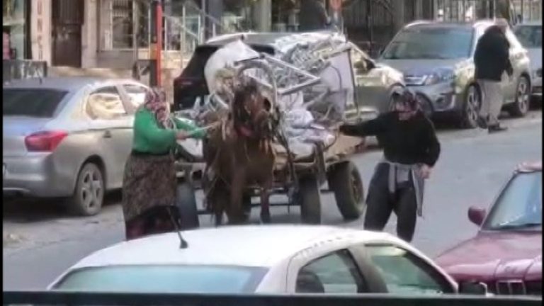 İstanbul’da aşırı yük taşıtılan ata sopa ve kemerli şiddet kamerada