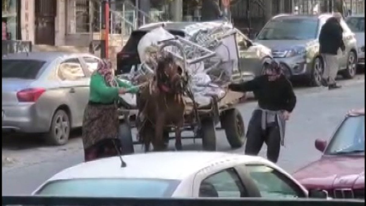 İstanbul’da aşırı yük taşıtılan ata sopa ve kemerli şiddet kamerada