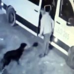 İstanbul’da Avcılar’ın maskotu ‘Garip’ isimli köpeği minibüsle kaçıran şüpheli gözaltına alındı