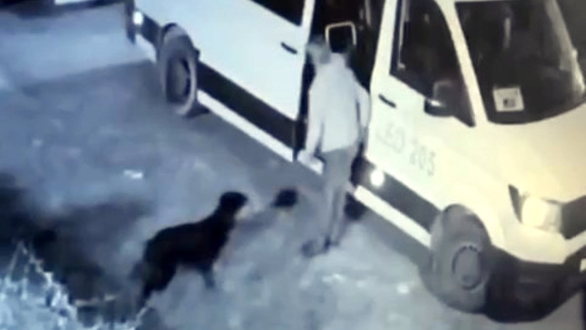 İstanbul’da Avcılar’ın maskotu ‘Garip’ isimli köpeği minibüsle kaçıran şüpheli gözaltına alındı