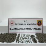 İstanbul’da düzenlenen operasyonda 8 bin 582 adet tarihi eser ele geçirildi