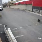 İstanbul’da köpeği ezen sürücü yoluna devam etti