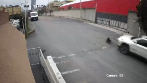 İstanbul’da köpeği ezen sürücü yoluna devam etti