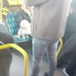 İstanbul’da köpeğin metrobüste koltuğa oturtulması tartışma yarattı