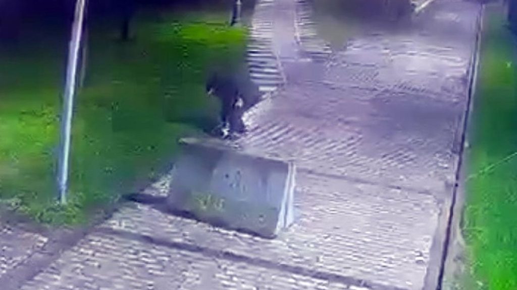 İstanbul’da parkta telefon hırsızlığı kamerada