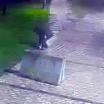 İstanbul’da parkta telefon hırsızlığı kamerada