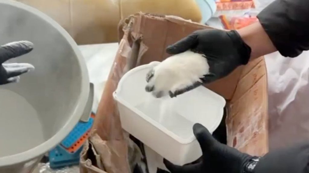 İstanbul’da uyuşturucu operasyonu: 5 şüpheli yakalandı