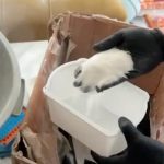 İstanbul’da uyuşturucu operasyonu: 5 şüpheli yakalandı