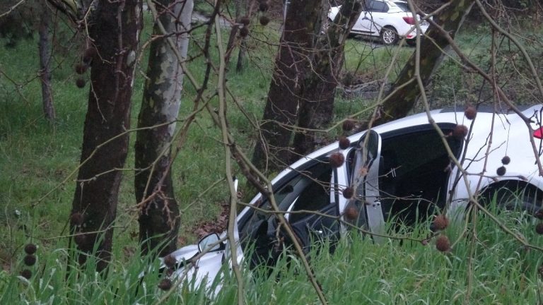 İstanbul’da virajı alamayan sürücü ağaca çarptı