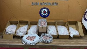 İzmir’de 356 bin uyuşturucu hap ele geçirildi