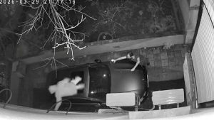 İzmir’de hırsızlık için binaya tırmanırken fark edildi: Otomobilin üzerine atlayarak kaçtı