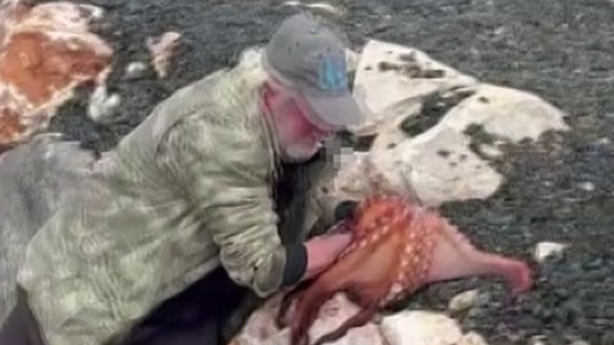Karaburun’da balıkçı kayalıklardaki dev ahtapotu elleriyle yakaladı