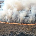 Karamık Gölü’nde sazlık yangını: 1 hektarlık alan etkilendi