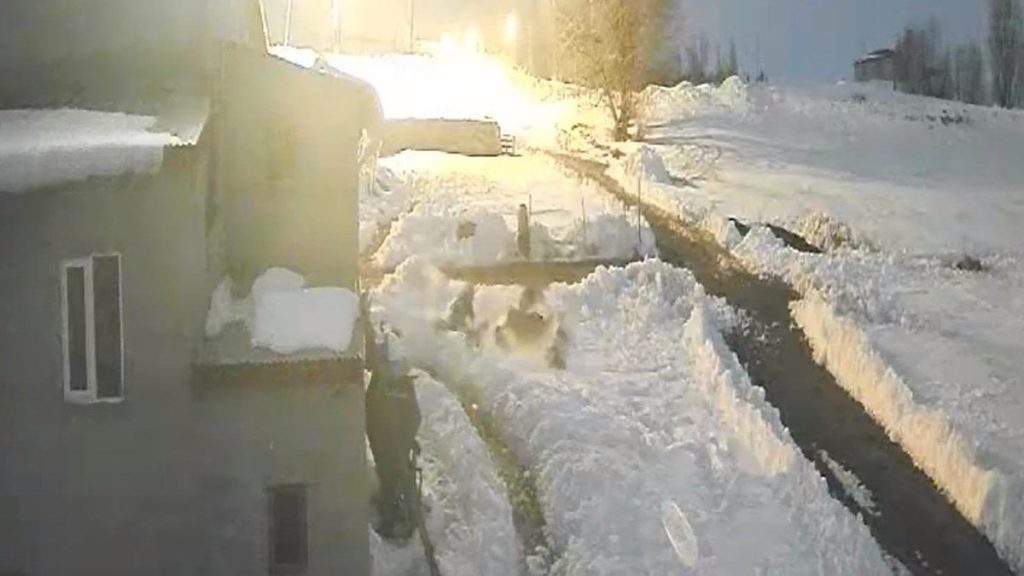 Kars’ta bir besici köpeklerine saldıran kurtları kürekle kovaladı