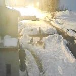 Kars’ta bir besici köpeklerine saldıran kurtları kürekle kovaladı