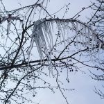 Kars’ta soğuk hava etkisini sürdürüyor