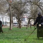 Kartepe’de Bahar Temizliği Yabani Ot ve Dikenler Temizleniyor