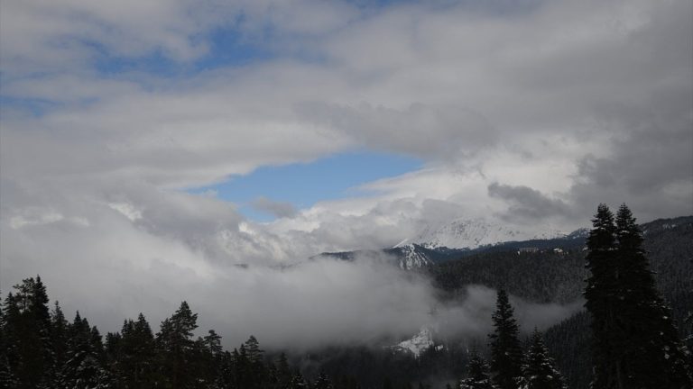 Kastamonu’nun yüksek kesimlerinde görüş mesafesi sis sebebiyle 50 metreye düştü