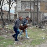 Kayseri’de 3 yaşındaki çocuğa saldıran köpeğin resmi olmayan sahibi tespit edildi