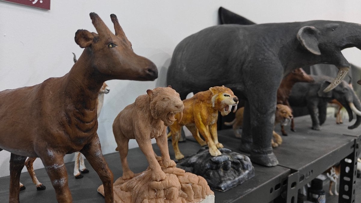 Kayseri’de 7,7 milyon yıllık fosiller minyatürle buluşuyor