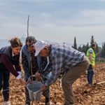 Kesilen cevizlerin yerine umut filizlendi