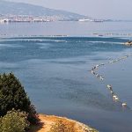 Körfezdeki dev temizlik dünya gündeminde