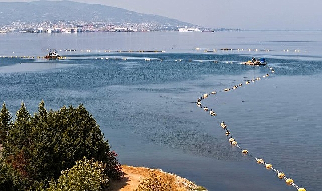 Körfezdeki dev temizlik dünya gündeminde