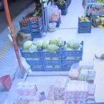 Malatya’da markete davetsiz misafir: Sansar şaşkınlık yarattı
