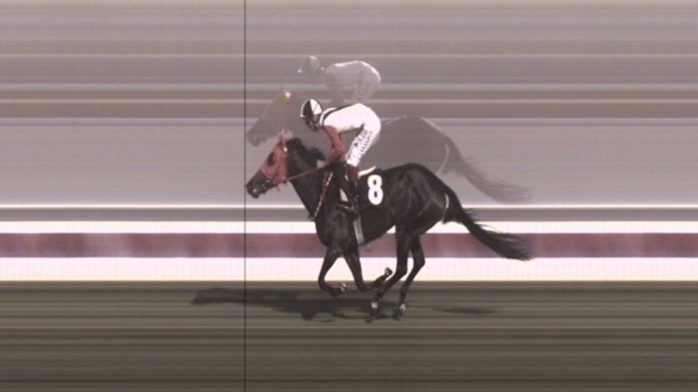 Mersin’de belediyenin aşevinde kavurmadan çıkan yarış atı: 3 birinciliği olan İngiliz ‘Smart Latch’