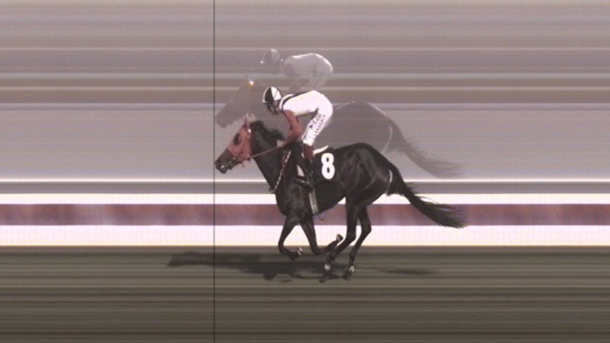 Mersin’de belediyenin aşevinde kavurmadan çıkan yarış atı: 3 birinciliği olan İngiliz ‘Smart Latch’