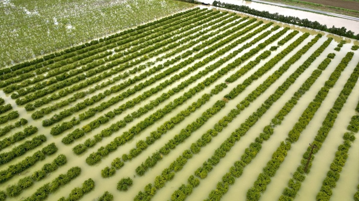 Mersin’de sağanak: Tarım arazileri su altında kaldı