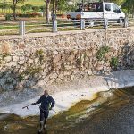 “Mevsimsel sinekler zararsız”